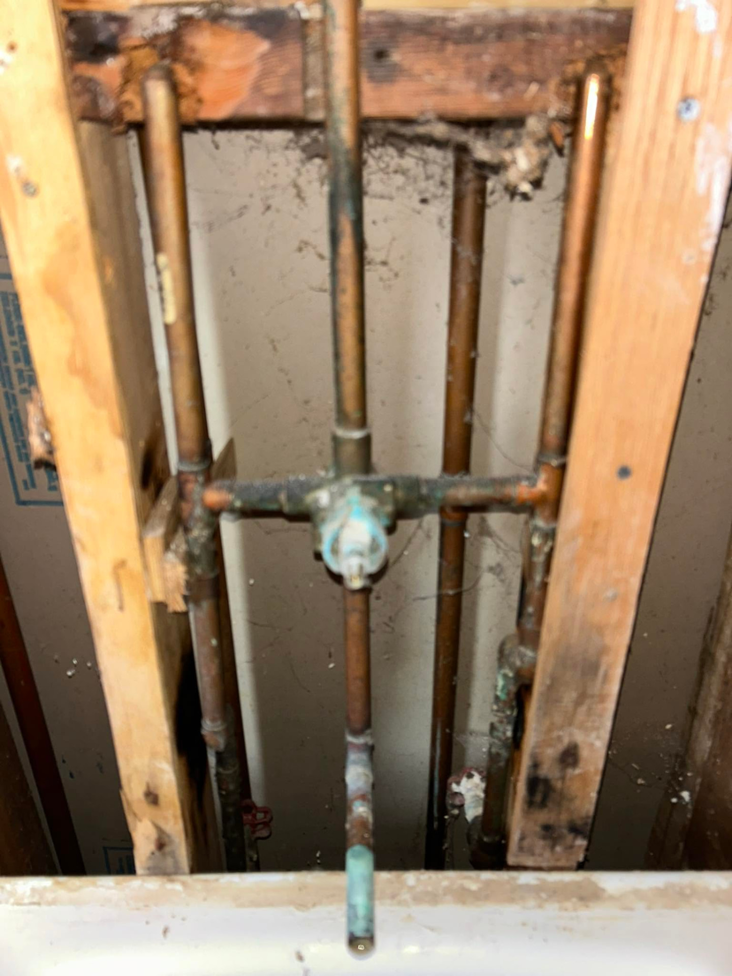 Existing copper shower plumbing exposed during renovation